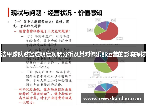 法甲球队财务透明度现状分析及其对俱乐部运营的影响探讨