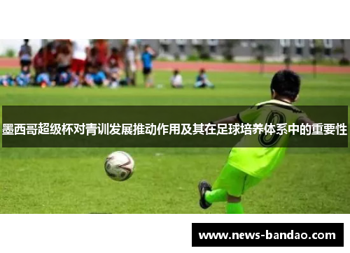 墨西哥超级杯对青训发展推动作用及其在足球培养体系中的重要性