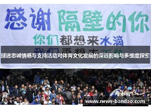 球迷忠诚情感与支持活动对体育文化发展的深远影响与多维度探索