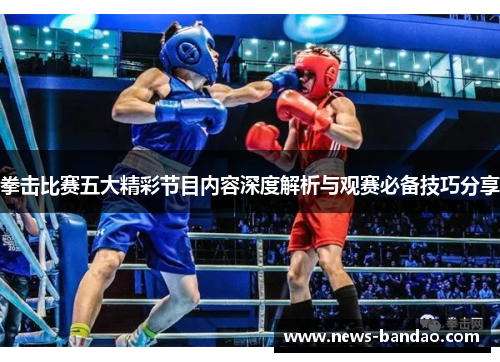 拳击比赛五大精彩节目内容深度解析与观赛必备技巧分享
