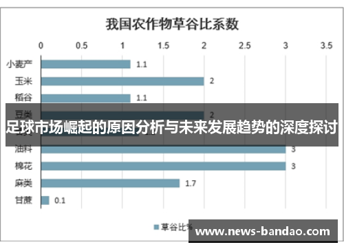 足球市场崛起的原因分析与未来发展趋势的深度探讨