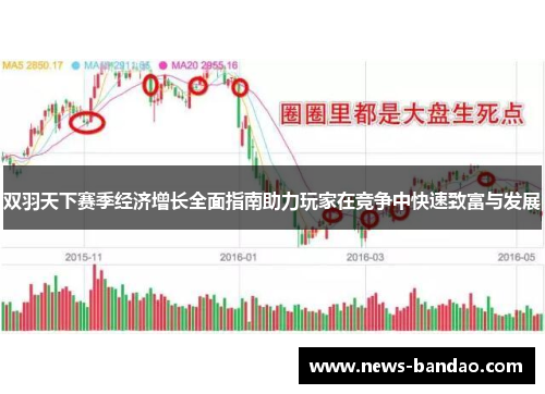 双羽天下赛季经济增长全面指南助力玩家在竞争中快速致富与发展