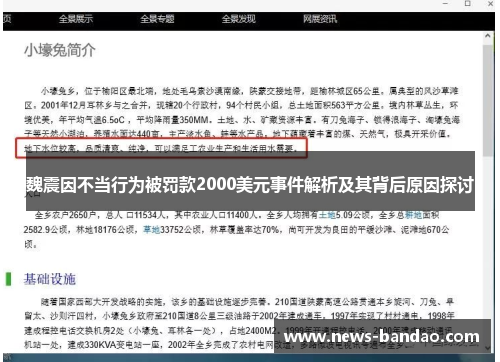 魏震因不当行为被罚款2000美元事件解析及其背后原因探讨