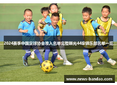 2024赛季中国足球协会准入名单完整曝光44家俱乐部名单一览