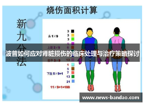 波普如何应对肾脏损伤的临床处理与治疗策略探讨