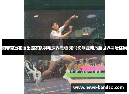 陶菲克宣布退出国家队羽毛球界震动 如何影响亚洲乃至世界羽坛格局