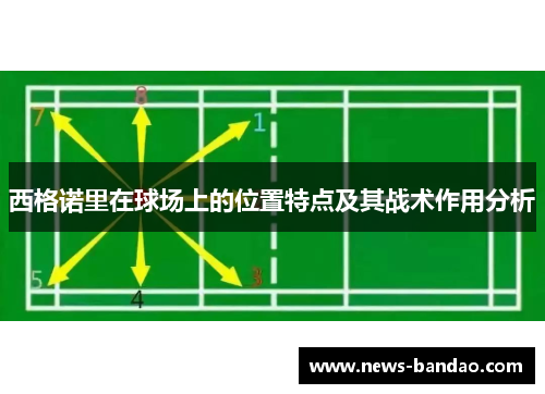 西格诺里在球场上的位置特点及其战术作用分析